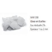 Machine à glace avec finition en acier inox pour usage professionnel