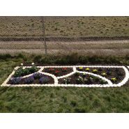 Bordure de pelouse bio_4