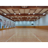 Eclairage industriel conçu pour l'industrie et les équipements sportifs  - highbay segal ik10_4