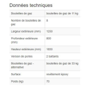 137123W - Armoire pour bouteilles de gaz GF 8.18 - stockage sécurisé extérieur, 6x33kg_4