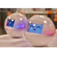 ROBOT LEKA APF FRANCE HANDICAP OUTIL LUDO-ÉDUCATIF COMPAGNON ENFANT AUTISME ASSISTANCE À LA PERSONNE_4