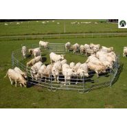 Bc240 - Barrière de contention 2m40 pour bovins et chevaux - Tubes ovales galvanisés à chaud_4