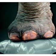 Machines à coussin d'air - Embaltou - largeur film max 230 mm à 400 mm - système de calage fiable et rapide_4