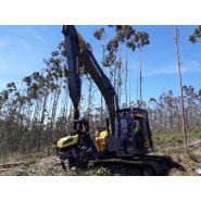 AFM 60 EUCA - Tête d'abattage pour eucalyptus - largeur max. 1330 mm - AFM Forest_4
