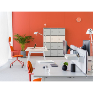 Casier modulable  et personnalisable :  une solution simple, pratique et design pour les effets personnels et les équipements des collaborateurs_4