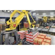 Palvite 4000 - palettiseur - sidel - robot de palletisation polyarticulée 4 axes