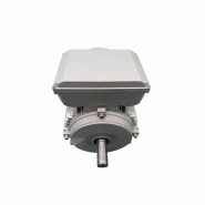 Moteur électrique 220v 3000tr/min adapté pour entraînement par poulie