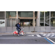 Barrière urbaine en acier VVBA210 - Traitement Ferrus anticorrosion - Coloris gris argent RAL 9006_4