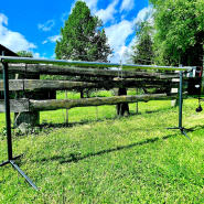 Rôtissoire ajustable avec capacité de 40 kg pour viande entière