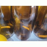 Mesure de la DBO DBO-mètre OxiTop 12 WTW_4