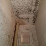 Location déshumidificateur d'air après sinistre pour sécher les murs_4