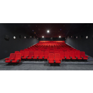 Fauteuil de cinéma modulable avec options de personnalisation