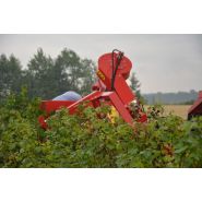 Récolteuse à baies JOANNA-4 ECO - Weremczuk - 40 CH - Productivité 0,15-0,25 ha/h - Capacité 1150 kg_4