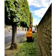 Taille-haie hydraulique pour professionnels avec couteaux polychromés