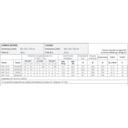 Machine à glace idéale pour présentation de poissons et fruits de mer