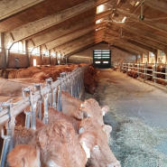 Porte industrielle à empilement rapide - structure solide anti-insectes et résistante aux chocs - VertiGO Green_4