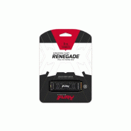 1000g fury renegade m.2 2280 nvme ssd_4