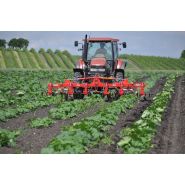 Bineuse agricole CHOPSTAR 10-150 - Einboeck - Inter-rangs jusqu'à 150 cm avec dent vibro_4