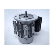 Moteur électrique monophasé ALMO 220V - 0,55kW - 1500tr/min - Bride B35 - Trous lisses à pattes_4