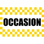 Drapeau imprimé - Occasion à hisser sur un mât_4