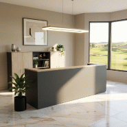 Banque d'accueil Delta First bicolore 2 personnes - Mobel Linea - 324, Anthracite / acacia clair_0