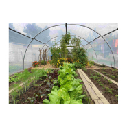 Serre pour légumes à deux portes pivotantes pour une aération naturelle et une accessibilité optimale - Largeur 6m - ABRI LEGUMES_4