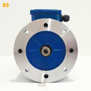 Moteur électrique Triphasé 400/700v 7,5 Kw 3000 Tr/min  - Ms132s224b5 Bride B5 - Bobinage Cuivre_4