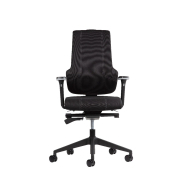 Chaise de bureau ergonomique et professionnelle - THECHAIR avec appui-tête réglable en option, soutien lombaire et accoudoirs 4D_4