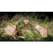 Sécateur hydraulique professionnel pour travaux forestiers lourds