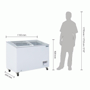 Congélateur coffre vitré Série G 270L GM499 Polar_4