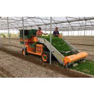 Récolteuse de légumes automotrice 8100 Herbex - Ortomec SRL - largeur de la tête de récolte 130 à 180 cm_4