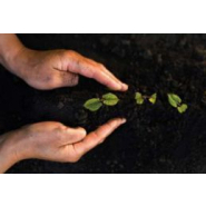 Purificateur d'eau professionnel écologique nouvelle génération UNI-K antibactérien élimine gaz toxiques métaux lourds fonctionne sans éléctricité_4