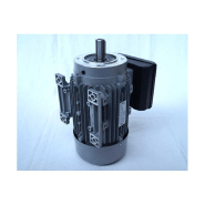 Moteur électrique monophasé 220V 2.2kW - 3000tr/min - Bride B34 avec trous taraudés et pattes_4