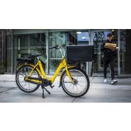 Vélo électrique Docker Premium - Moteur pédalier Shimano E-Bike Systems - Charge maximale 200 kg_4