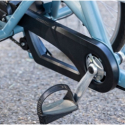 Tricycle Maxi Van Raam - Tricycle Individuel avec Options Personnalisables