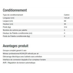 Diesel 20000 ta xl avr export groupe électrogène - kohler - puissance max (kw) 15.20