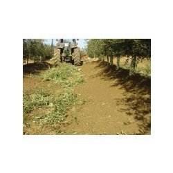 Andaineur BV15 Elite Oil - machine spéciale pour plantations d'olives super intensives - largeur de travail 4,46 m