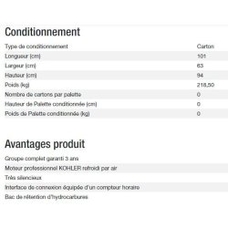 Groupe électrogène Diesel 6500 TA Silence C5 - Kohler - Puissance max 5,20 kW - 6,50 kVA - 50 Hz