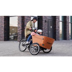 Triporteur électrique Babboe Carve-E - Banc pour 4 enfants - Moteur GWA 36V 250W - Dérailleur Shimano 7 vitesses