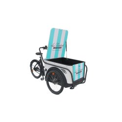 Triporteur électrique Urban Rider Pro - Moteur BAFANG Max M400 - Caisse HDPE 100 kg