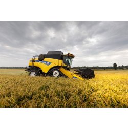 Moissonneuse batteuse CX8.80 Tier 4B - New Holland - trémie 11 500 L - largeur de coupe 6,10 à 12,50 m