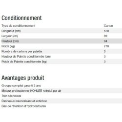 Groupe électrogène diesel silencieux 15000TA - Kohler - 10 kW max - Triphasé 400V