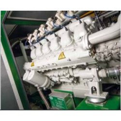 Patruus - Groupe électrogène industriel 50 à 64 kW - 2G Énergie SAS - Technologie robuste et modulaire