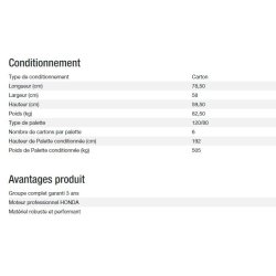 Groupe électrogène HX 6000 TB UK C5 - Kohler - Gamme INTENS - Puissance max 5,60 kW - 230 V - 50 Hz