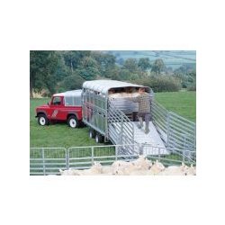 Remorque bétaillère DP120 Ifor Williams - poids brut 3500 kg - pont EasyLoad et carrosserie amovible