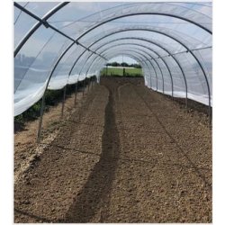 Magnum - Serre tunnel professionnelle Natural - largeur 4m, structure renforcée pour cultures sur ficelles
