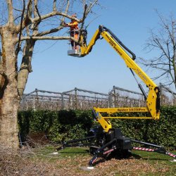 Nacelle araignée sur chenille robuste et fiable - Spider 15.75 - Hauteur de travail 15m - Portée 7.4m - Diesel ou hybride