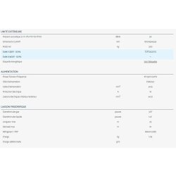 Xbd - climatiseur professionnel Airwell - double flux - console à deux sorties d'air - compatible monosplit et multisplit