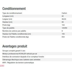 Technic 6500 E AVR - Groupe électrogène Kohler - Puissance max 6,30 kW - Fréquence 50 Hz - Tension nominale 230 V