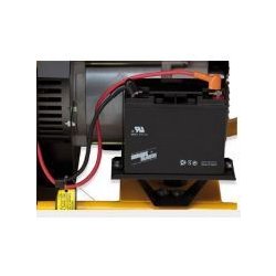 9000EA Groupe électrogène Briggs & Stratton - 9000 Watts - Tension 230V - Régulateur automatique de tension